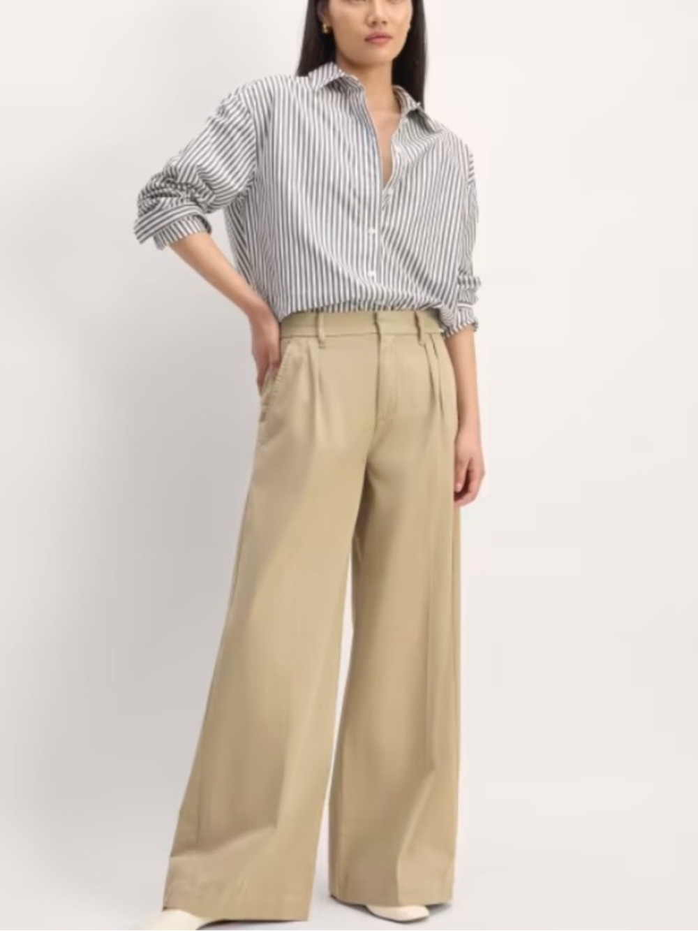 Everlane The Draper Pleated Pant Womens 16 Beige Wide Leg Chino Twill Business